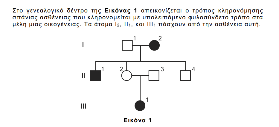 Εικόνα 1 — γενεαλογικό δέντρο